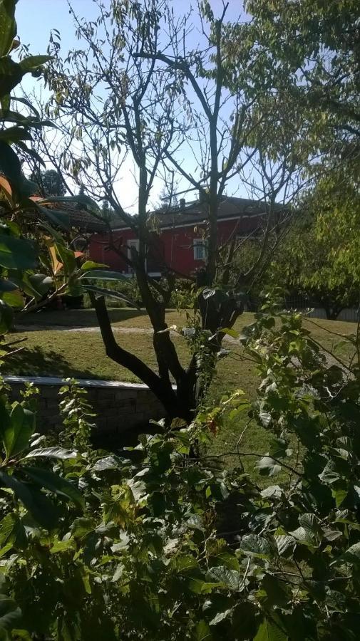 'L Sass Bed & Breakfast Borgomanero Exterior foto