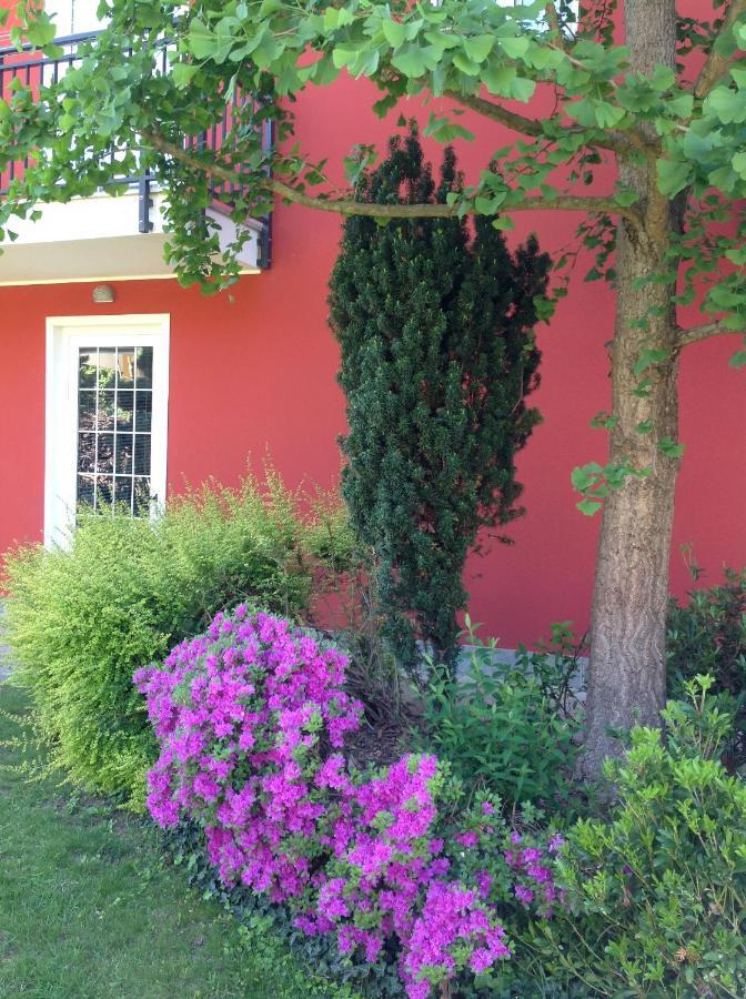 'L Sass Bed & Breakfast Borgomanero Exterior foto
