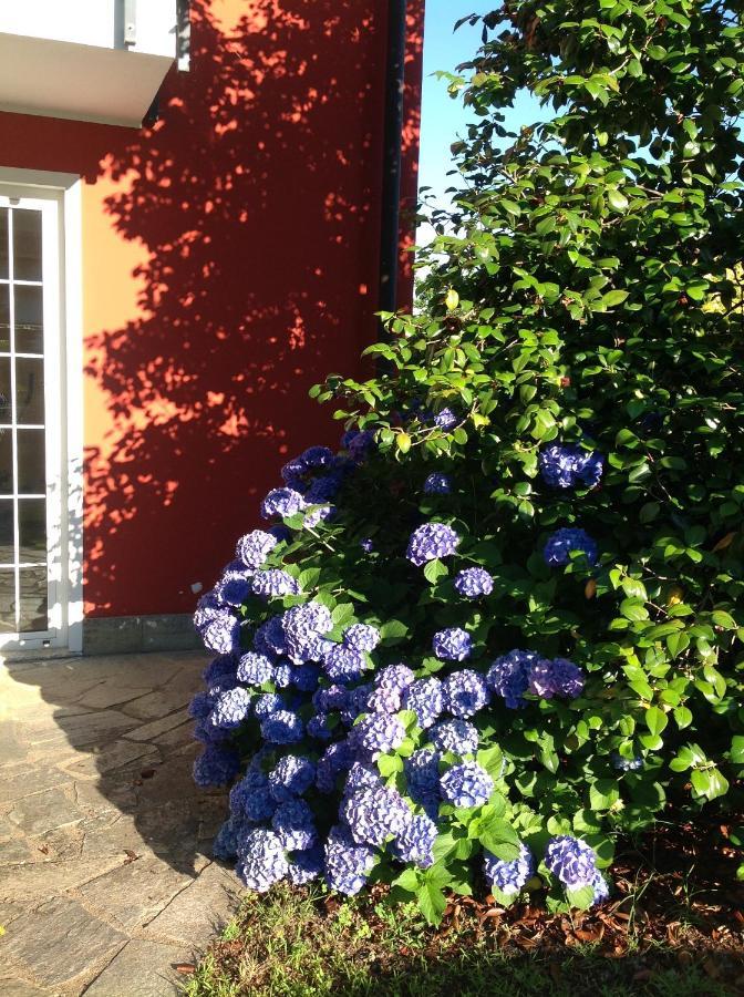'L Sass Bed & Breakfast Borgomanero Exterior foto