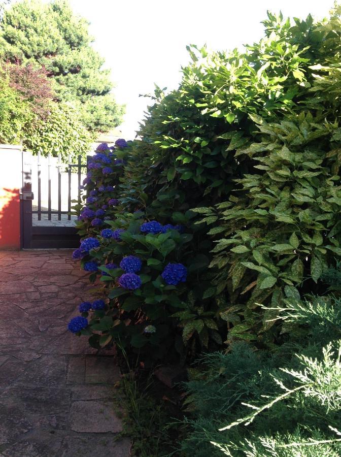 'L Sass Bed & Breakfast Borgomanero Exterior foto